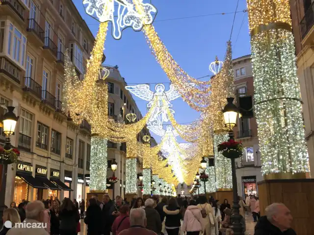 Finca El Sueno huren in Spanje, Andalusië, Pilarejo - villa Calle Larios in Malaga met kerst altijd prachtig versierd!