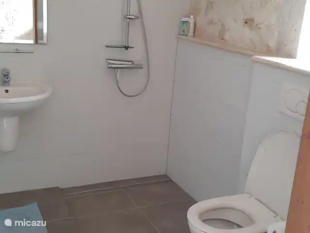 Vidal Bezy Lavande | France, Lot-et-Garonne, Massels - maison de vacances Salle de Bains