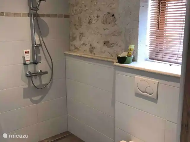 Vidal Bezy Lavande | France, Lot-et-Garonne, Massels - maison de vacances Douche à l’italienne