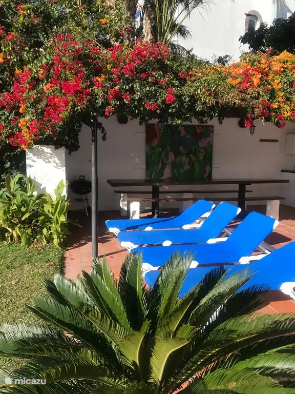 Der Picknick / BBQ-Bereich