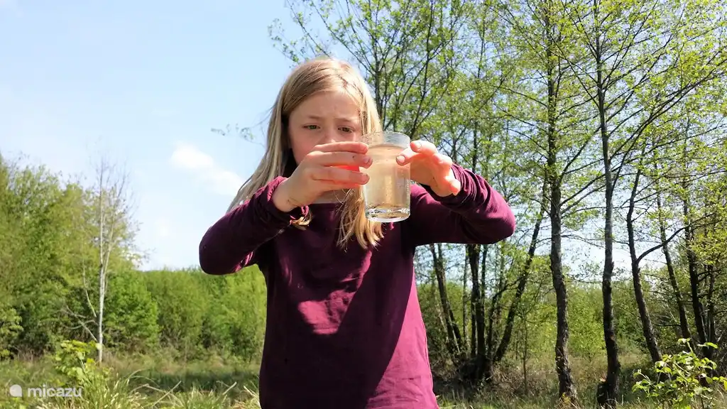 In der unberührten Natur gibt es viel zu entdecken