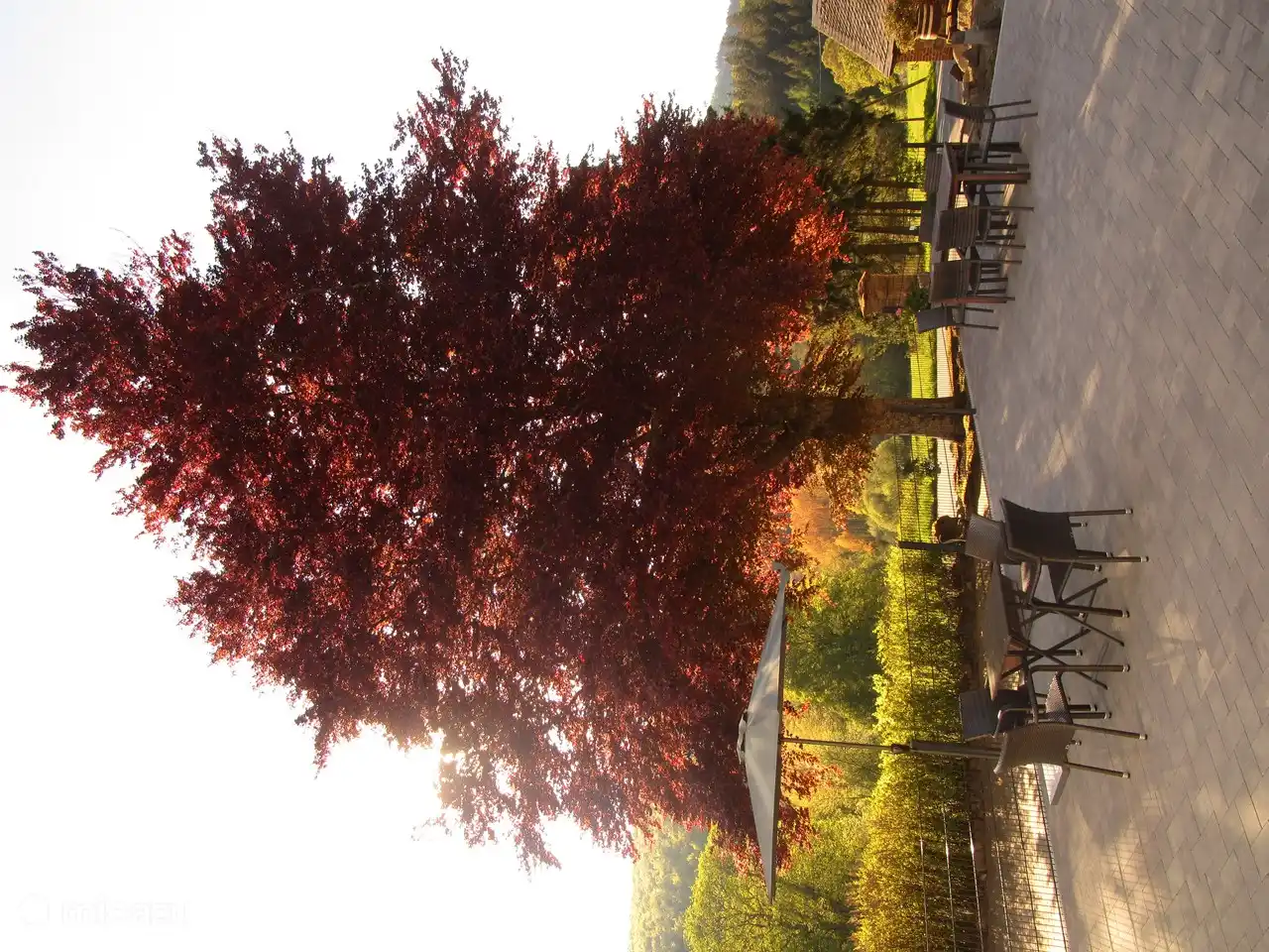 Sonne und Schatten auf der Terrasse