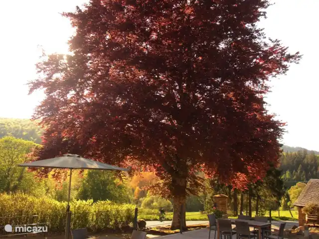 Location de Vacances Allemagne, Sauerland, Siedlinghausen - Winterberg, appartement - Jagdschloss Siedlinghausen 1 Soleil et ombre sur la terrasse
