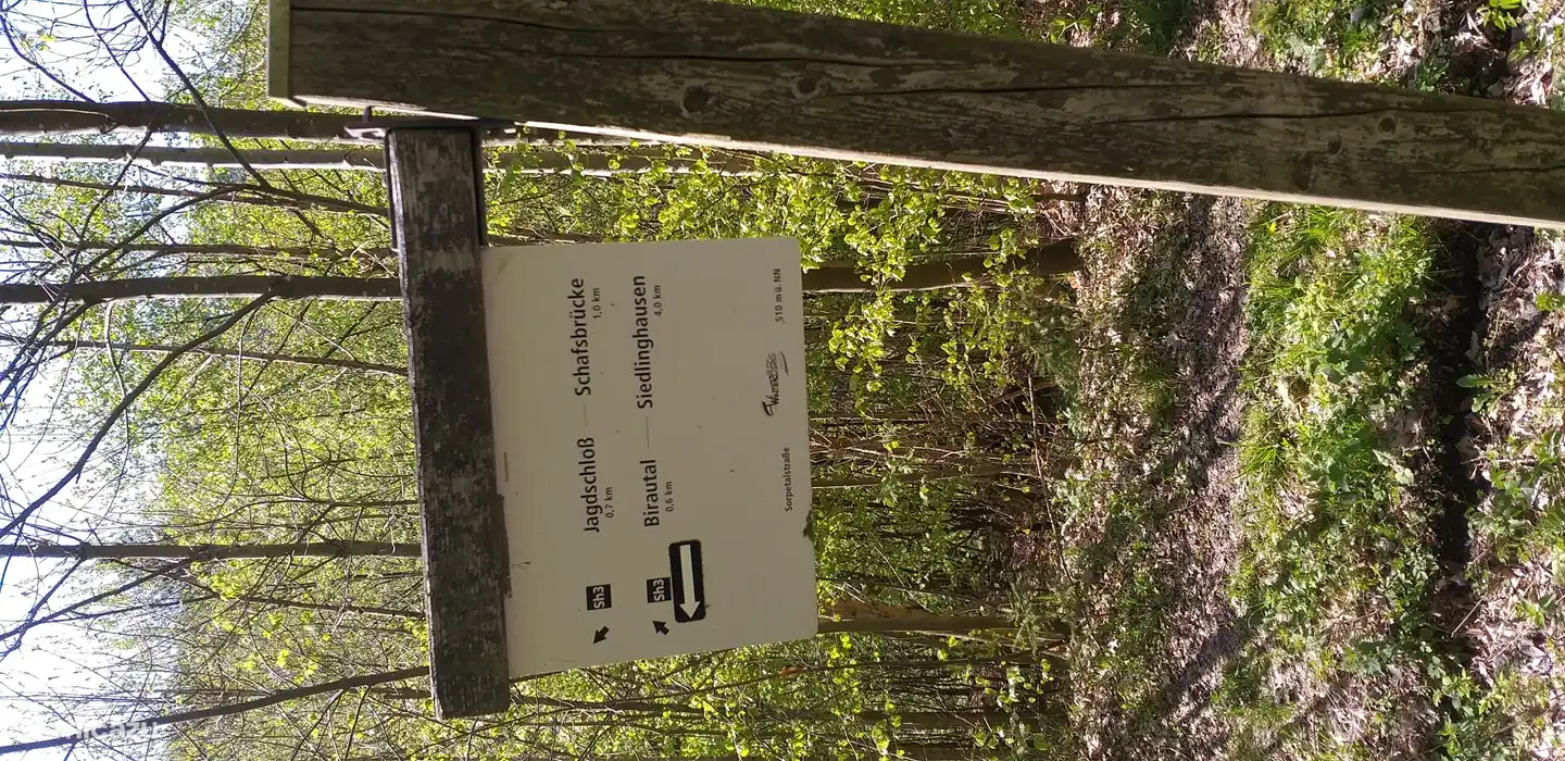 Direkt hinter dem Haus befindet sich die sh3 und die WHT Rundwanderung.