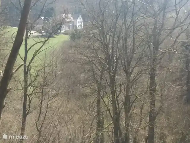Location de Vacances Allemagne, Sauerland, Siedlinghausen - Winterberg, appartement - Jagdschloss Siedlinghausen 1 Photo prise depuis la forêt de l'autre côté de la route.