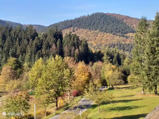 Location de Vacances Allemagne, Sauerland, Siedlinghausen - Winterberg, appartement - Jagdschloss Siedlinghausen 1 Quelle vue....