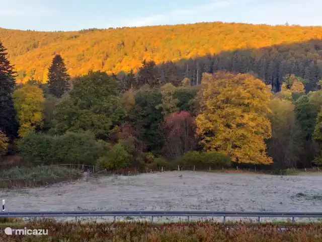 Location de Vacances Allemagne, Sauerland, Siedlinghausen - Winterberg, appartement - Jagdschloss Siedlinghausen 1 Couleurs d'automne