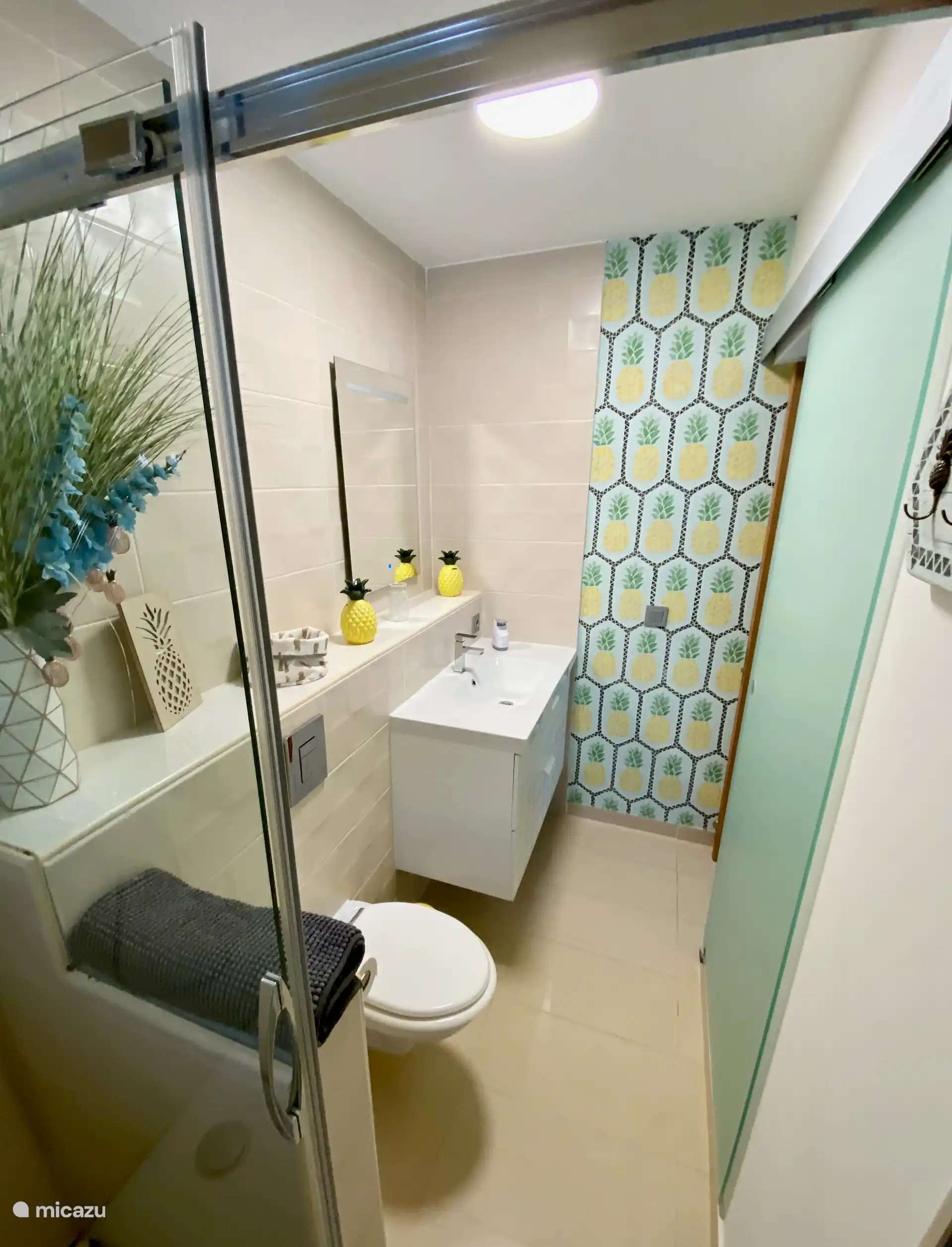 Salle de bain dans la chambre Ananas