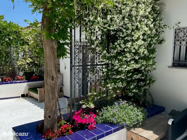 Location de Vacances Espagne, Costa Brava, Calonge, villa - XL Villa Calonge Jasmin fleuri