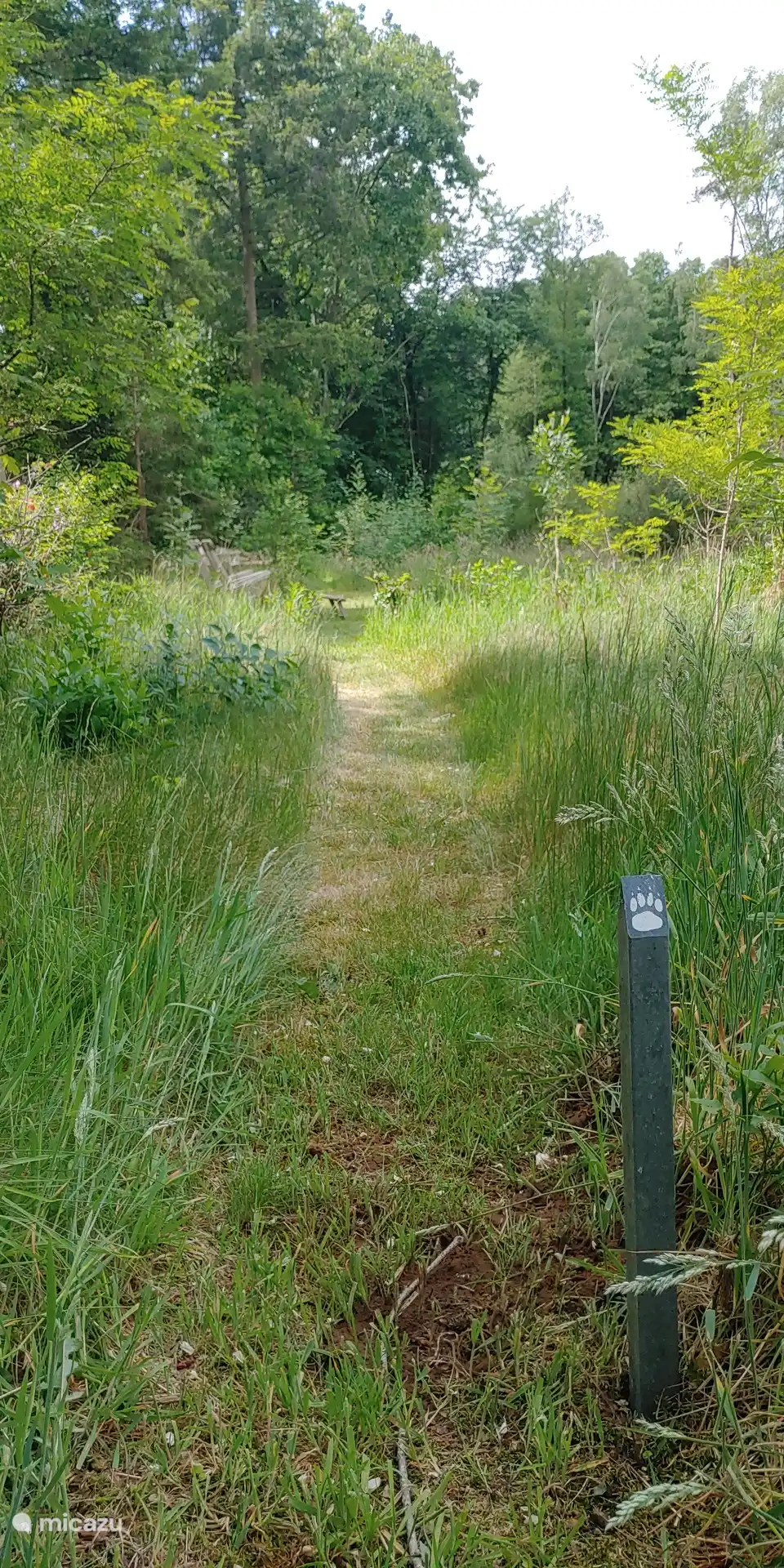 Folgen Sie der Spur des Wolfes und entdecken Sie den Waldgarten