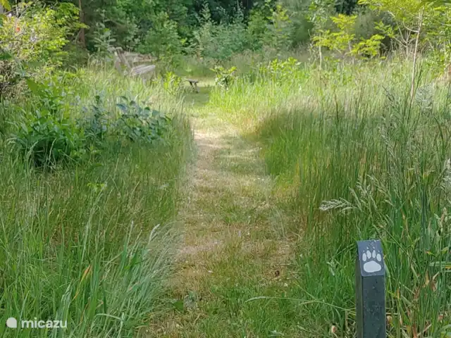 Bosvilla Digitale | Pays-Bas, Gueldre, Halle - maison de vacances Suivez la piste du loup et découvrez le jardin forêt