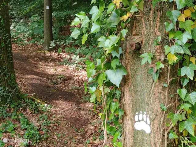 Bosvilla Digitale | Pays-Bas, Gueldre, Halle - maison de vacances Le sentier des loups