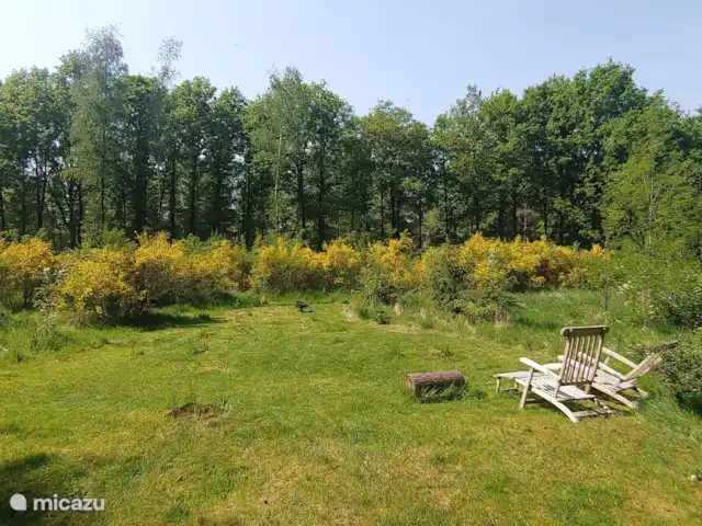 Bosvilla Digitale | Pays-Bas, Gueldre, Halle - maison de vacances Jardin forestier 4000 m2
