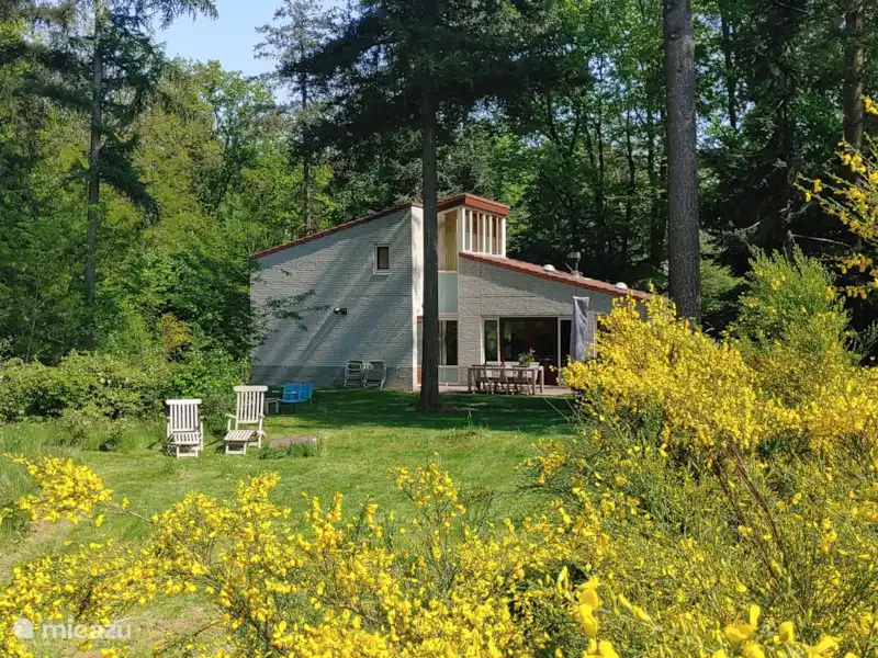 Bosvilla Digitale | Pays-Bas, Gueldre, Halle - Maison de vacances Bosvilla Digitale | Pays-Bas, Gueldre, Halle - Maison de vacances