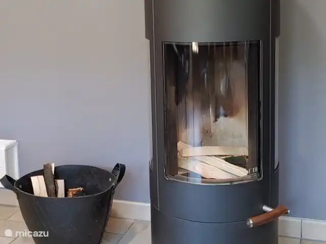 Bosvilla Digitale | Pays-Bas, Gueldre, Halle - maison de vacances Poêle à bois