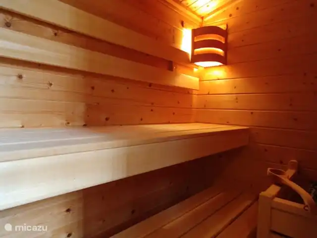 Bosvilla Digitale | Pays-Bas, Gueldre, Halle - maison de vacances Sauna