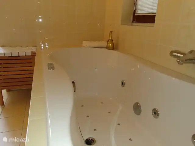 Bosvilla Digitale | Pays-Bas, Gueldre, Halle - maison de vacances Bain moussant