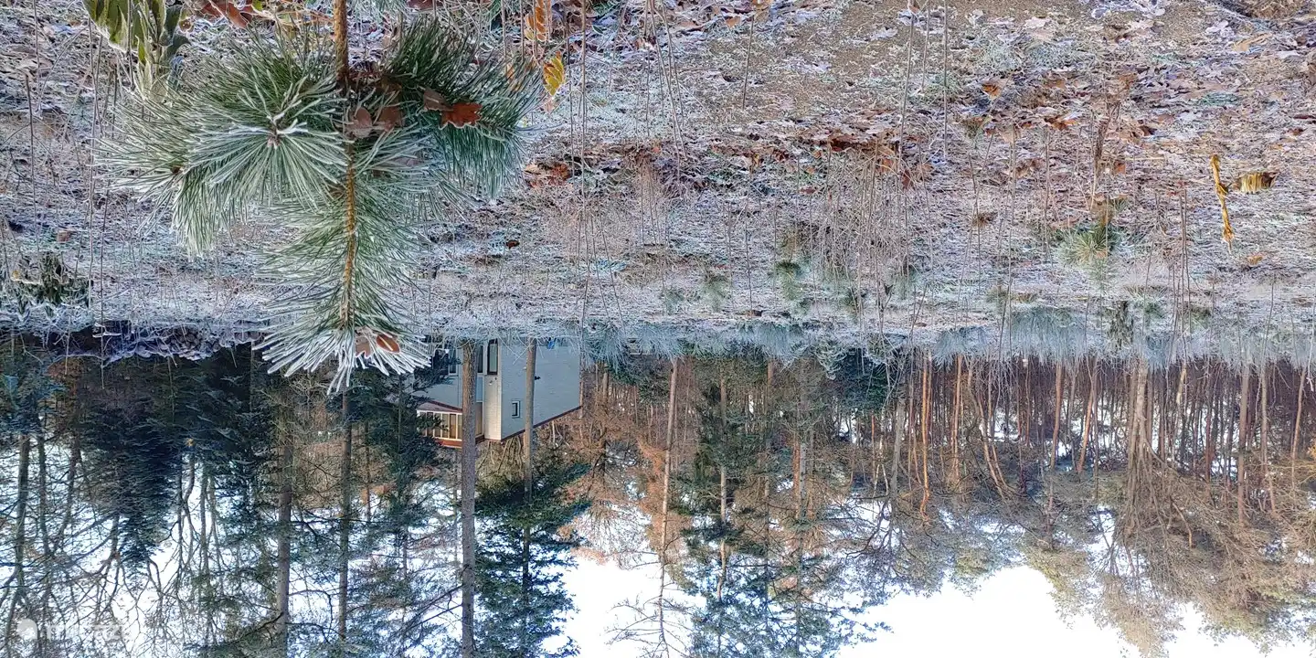Waldgarten im Winter