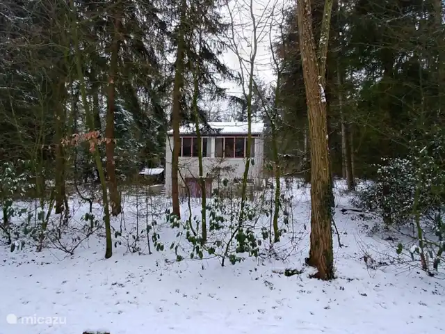 Bosvilla Digitale | Pays-Bas, Gueldre, Halle - maison de vacances Hiver