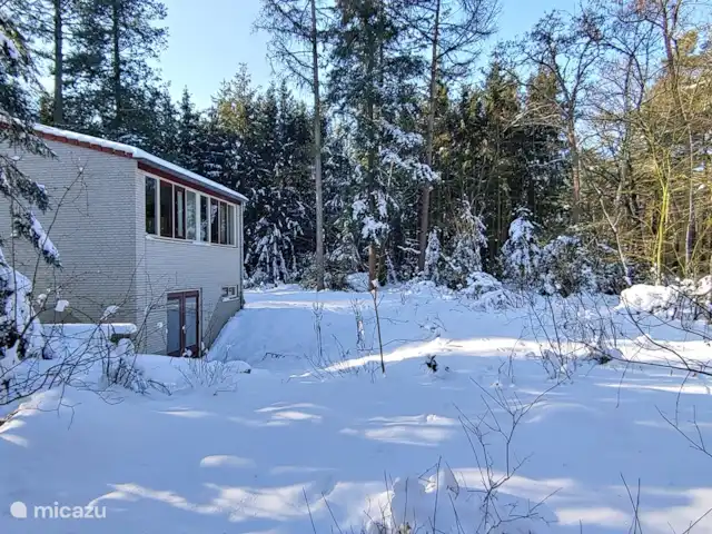 Bosvilla Digitale | Pays-Bas, Gueldre, Halle - maison de vacances Hiver