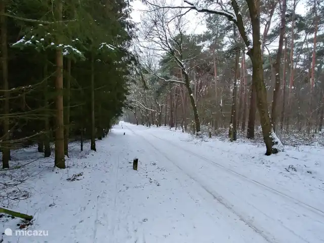 Bosvilla Digitale | Pays-Bas, Gueldre, Halle - maison de vacances Hiver