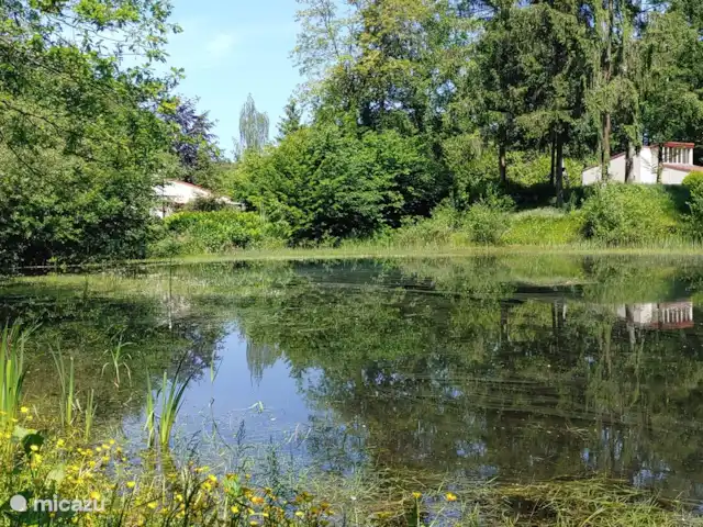Bosvilla Digitale | Pays-Bas, Gueldre, Halle - maison de vacances Étang dans le parc