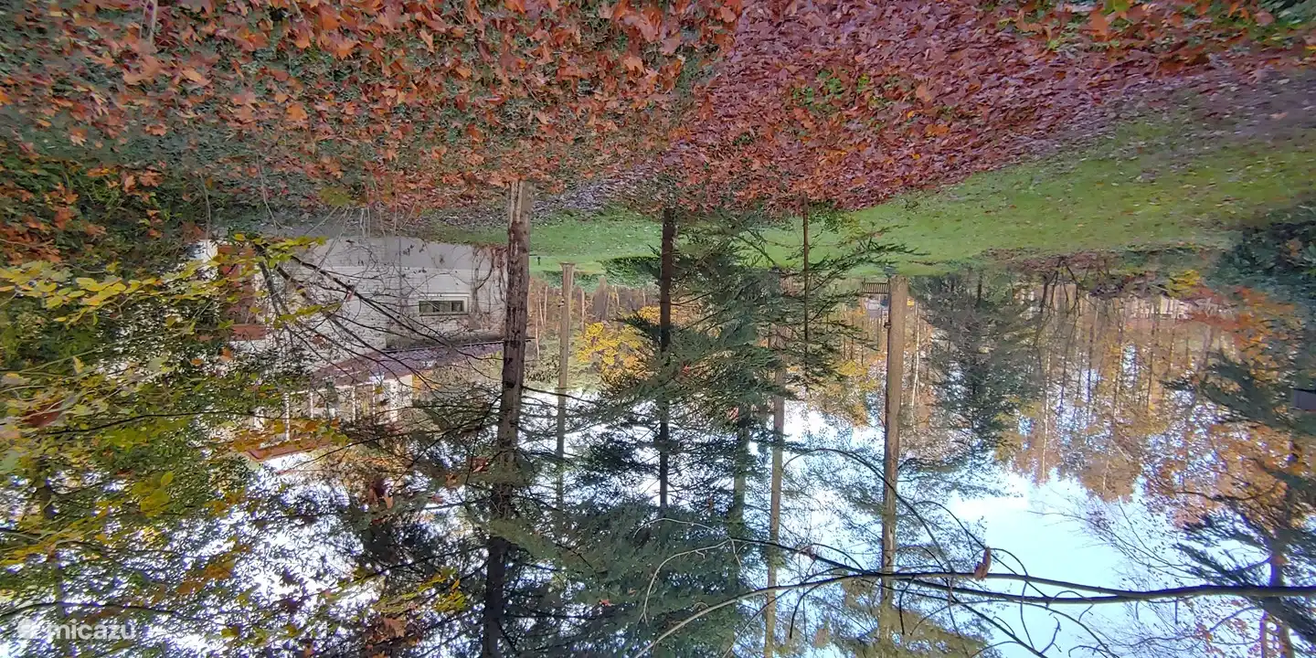 Viel Platz rund ums Haus