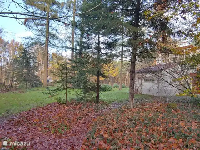Bosvilla Digitale | Pays-Bas, Gueldre, Halle - maison de vacances Beaucoup d'espace autour de la maison