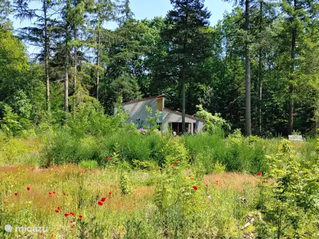 Bosvilla Digitale | Pays-Bas, Gueldre, Halle - maison de vacances Jardin forestier 4000 m2