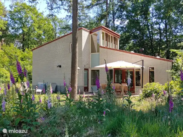 Bosvilla Digitale | Pays-Bas, Gueldre, Halle - maison de vacances Au premier plan : digitale pourpre (Digitalis purpurea)