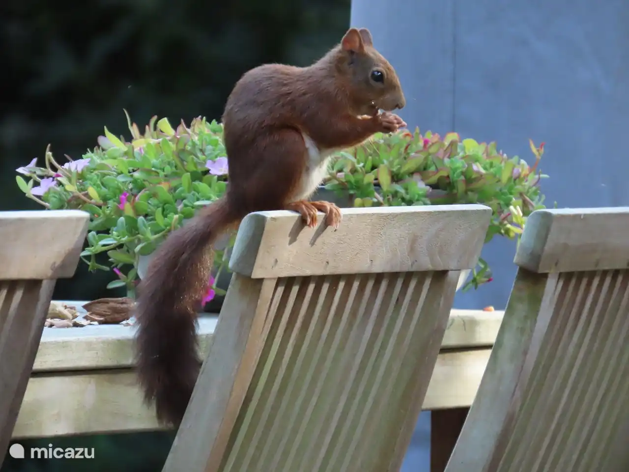 Das ist ein Stammgast