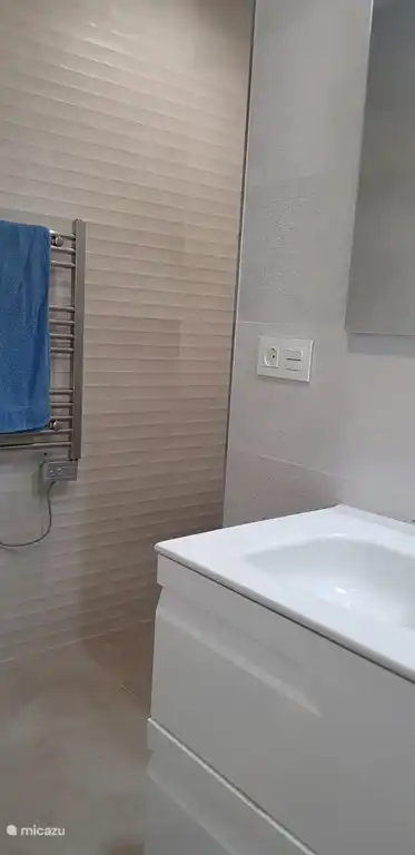 Badezimmer 2 mit begehbarer Dusche, WC und Waschbecken