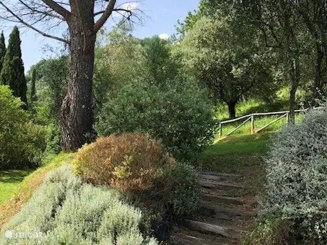 Location de Vacances Italie, Toscane, Lucca, villa - Orphée Jardin