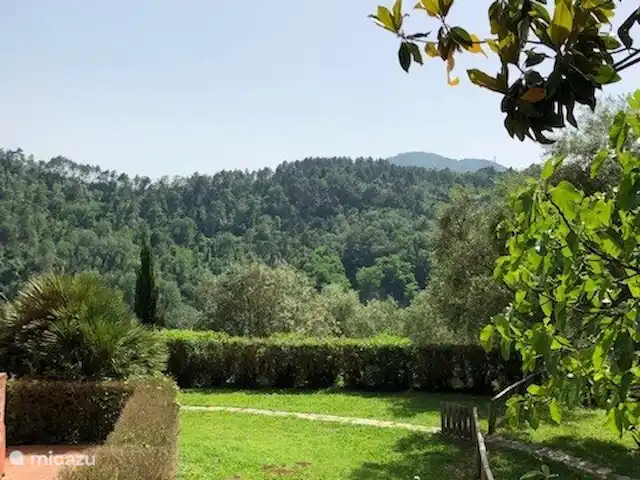 Location de Vacances Italie, Toscane, Lucca, villa - Orphée Jardin