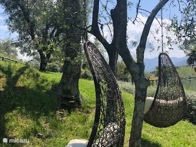 Location de Vacances Italie, Toscane, Lucca, villa - Orphée Chaises longues balançoires
