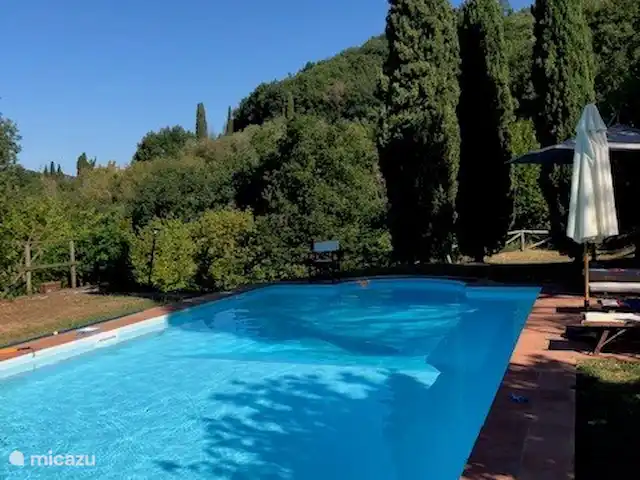 Location de Vacances Italie, Toscane, Lucca, villa - Orphée Piscine