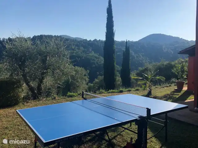 Location de Vacances Italie, Toscane, Lucca, villa - Orphée
