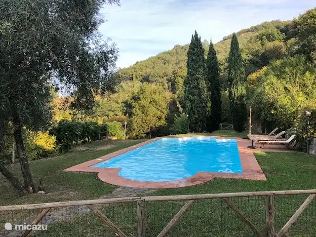 Location de Vacances Italie, Toscane, Lucca, villa - Orphée Piscine