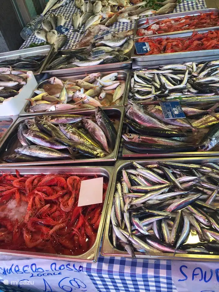 Marché aux poissons de Riposto