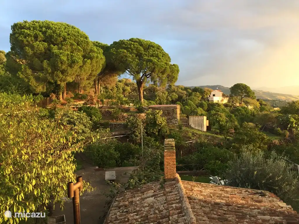 Le terrain de 7000mq