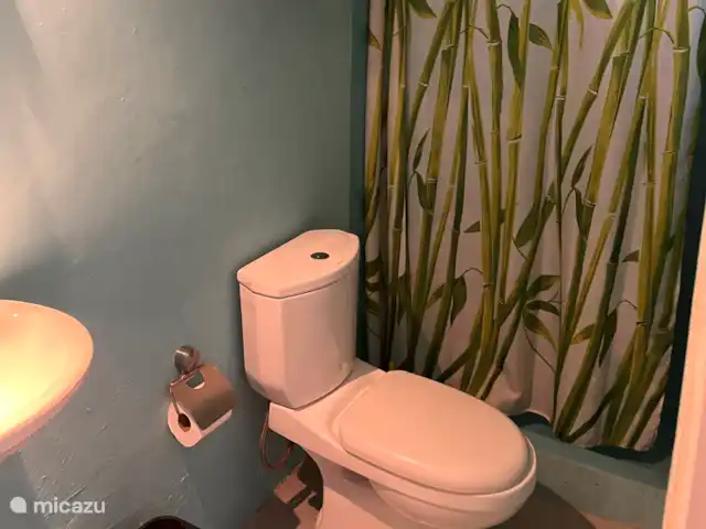 Brise Tropicale 'Blenchi' | Curaçao, Banda Ariba (est), Santa Catharina - studio Salle de Bains