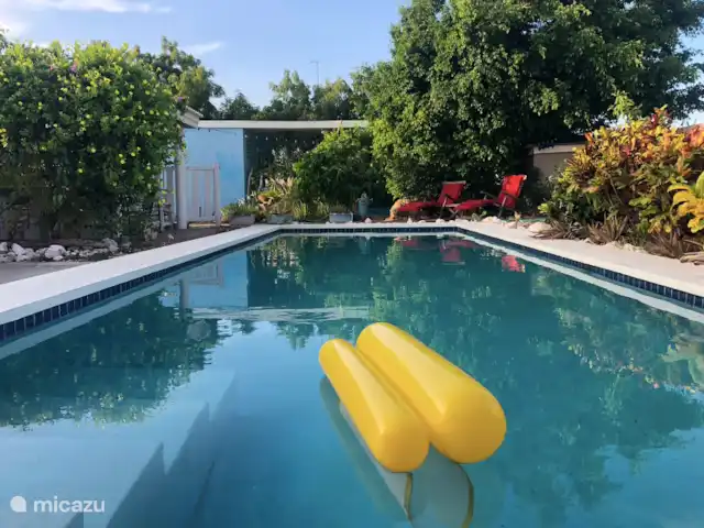 Brise Tropicale 'Blenchi' | Curaçao, Banda Ariba (est), Santa Catharina - studio Belle piscine pour se rafraîchir après une longue journée chaude.
