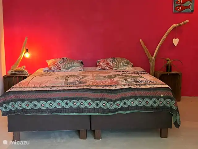Brise Tropicale 'Blenchi' | Curaçao, Banda Ariba (est), Santa Catharina - studio Des couleurs fraîches et tropicales ont été utilisées pour créer une belle apparence.