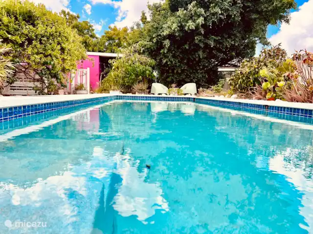 Brise Tropicale 'Hamaka' | Curaçao, Banda Ariba (est), Santa Catharina - studio Piscine