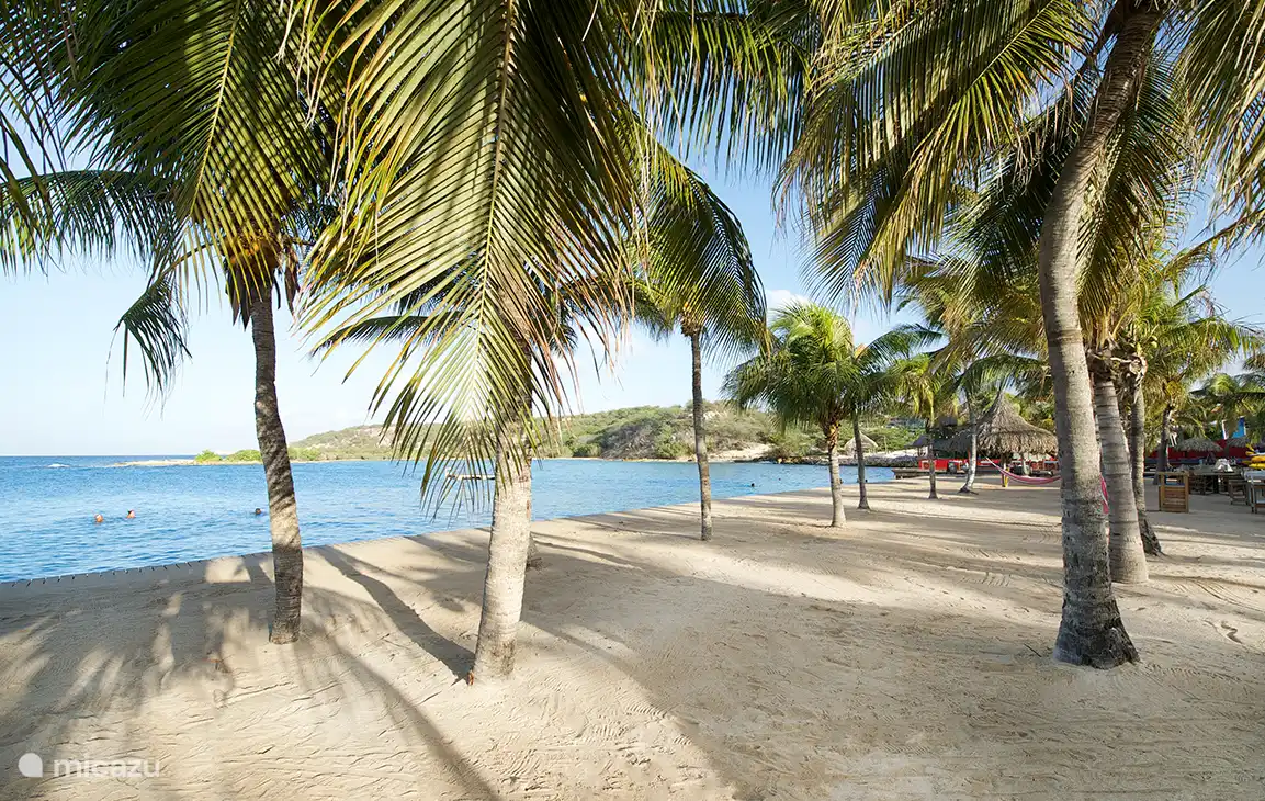 Les plages populaires de Jan Thiel Beach sont à 10 minutes de nous