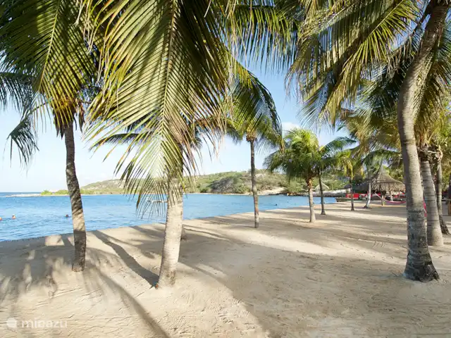 Brise Tropicale 'Hamaka' | Curaçao, Banda Ariba (est), Santa Catharina - studio Les plages populaires de Jan Thiel Beach sont à 10 minutes de nous