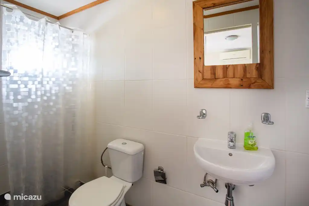 Salle de bain avec douche et toilette