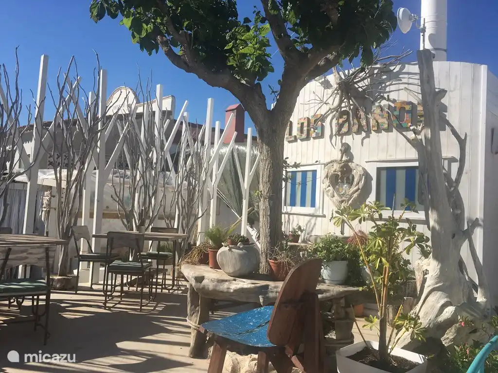 Los Banos Sunshine Bar, plage de Denia à 15 minutes en voiture de la villa.