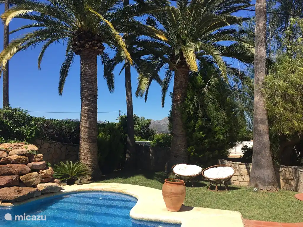 Coin salon sous les palmiers