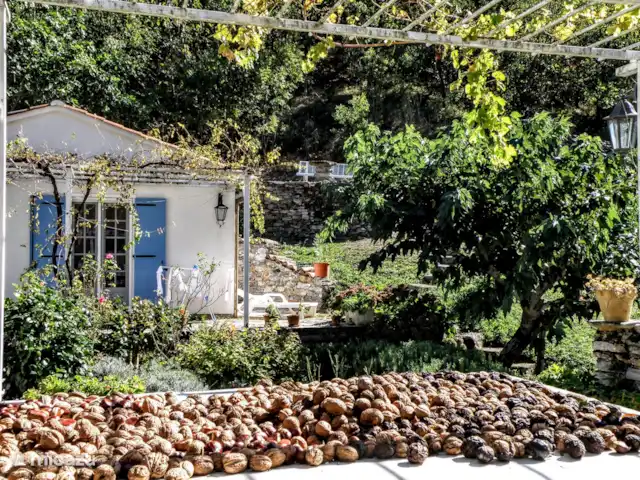 Le Pré du Moulin | France, Hérault, Marthomis - maison de vacances Le Pré du Moulin | France, Hérault, Marthomis - maison de vacances